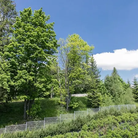 Vacationclub - Livigno 37 * Sienna (Klodzko)